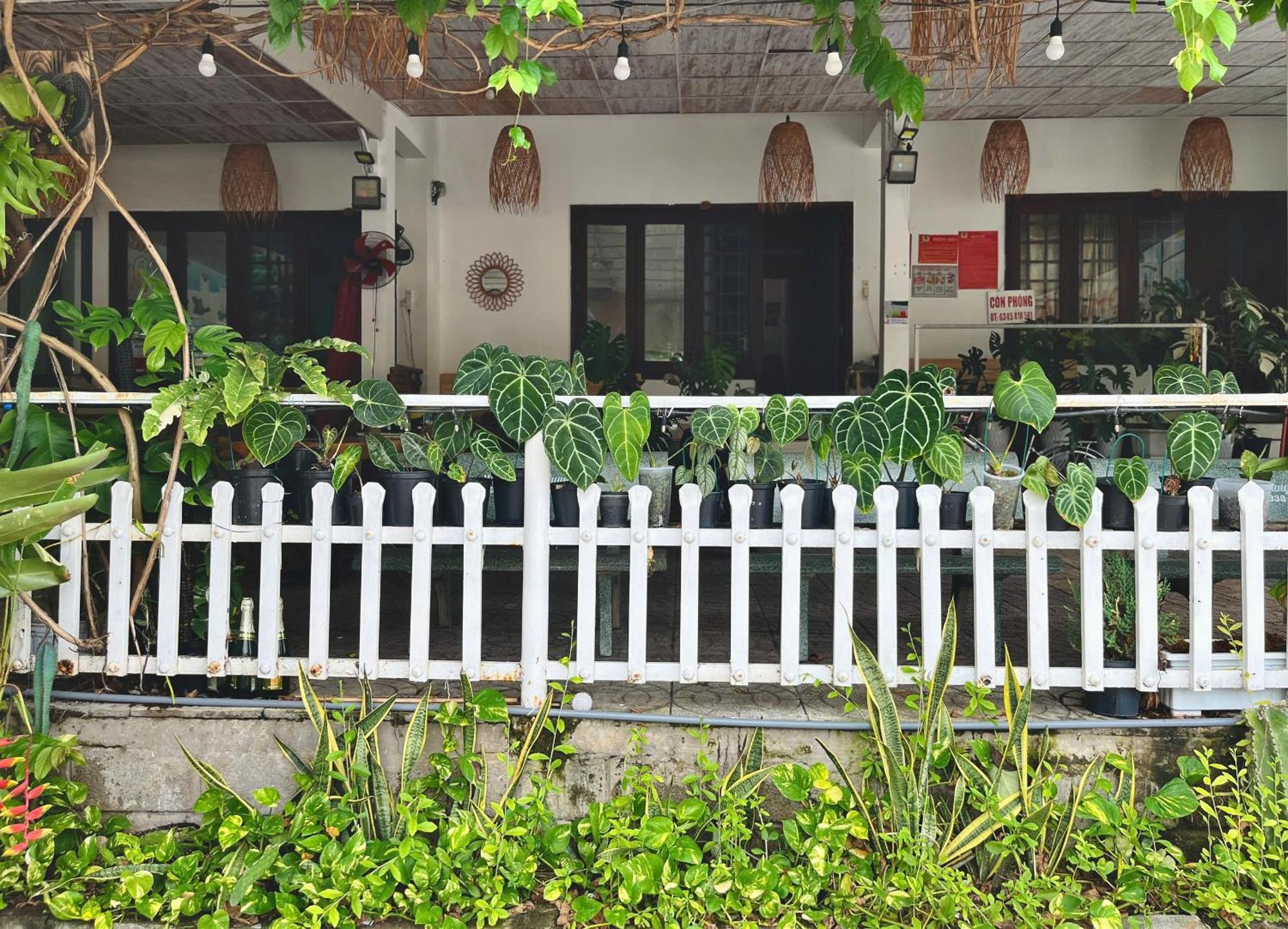 N'T Homestay Mui Ne Exterior foto